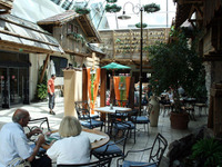 大矢アキオ『喰いすぎ注意』…急募、オーストリアの「ジローラモ」 画像