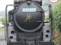 【夏休み】和歌山県の鉄道公園でデゴイチの乗車体験---運転体験も実施 画像