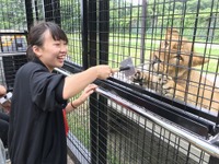 【夏休み】那須サファリパーク、新型アクティビティバス…檻の中に人間が 画像