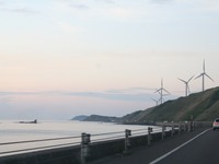 女性と自動車に関する調査---購入前の理想と購入後の現実、便利だから 画像