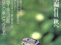 激増!車両盗難、なんと8分に一件の盗難が 画像