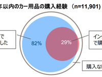 カー用品購入でネット通販利用、3人に1人は経験アリ…GfKジャパン調べ 画像