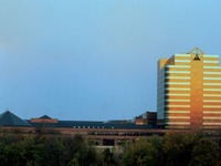 アメリカ政府と自動車メーカーがサミット 画像