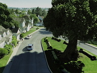 トヨタ自動車、トヨタマーケティングジャパンを吸収合併へ 画像