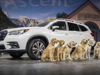 スバルの3列SUV アセント、最新コネクト搭載…高速LTE通信も【ロサンゼルスモーターショー2017】 画像