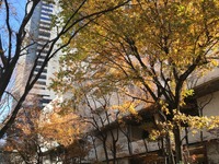 レスポンス読者が決める『今年の漢字2017』…投稿ステージ 画像