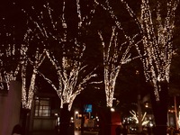 【24時間募集】レスポンス読者が決める『新語・流行語大賞2017』…投稿ステージ 画像