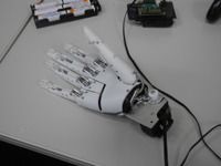 NEDO、産学官連携で新構造のロボットハンドを開発…人間の手と指の動きを再現 画像