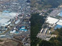 東洋ゴム、国内2工場の生産体制強化---大口径高性能タイヤの需要に対応 画像