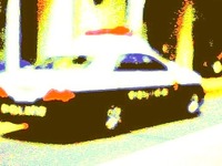 農道での死亡ひき逃げ事件、医師が「単独転倒」に疑問 画像