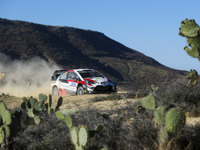 【WRC 第3戦】メキシコでのトヨタ勢は「困難な週末」に直面、最高8位…王者オジェが今季2勝目 画像