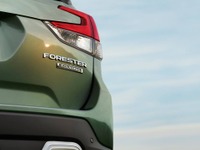 スバル フォレスター 新型、ティザーイメージ…ニューヨークモーターショー2018で発表予定 画像