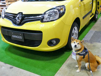柴犬ハルと振り返る“クルマと”インターペット…ペットに優しい5メーカーは 画像