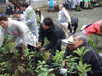 横浜ゴム、千年の杜プロジェクト始動 画像