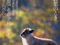 後席シートベルトがどれだけ大切か……衝突テスト連続写真 画像