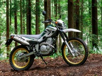 ヤマハ発動機、セロー250 を空冷のまま復活　FI改良などで排ガス規制クリア 画像