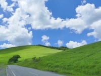 カーシェアで安全走行した分を自動車保険料割引に反映 あいおいニッセイ同和損保 画像