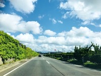 損保ジャパン日本興亜、12時間から入れる自動車保険「乗るピタ!」発売へ 画像