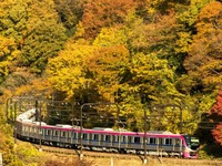 高尾山からの帰路に初の座席指定列車…11月に運行される京王の『Mt.TAKAO号』 画像