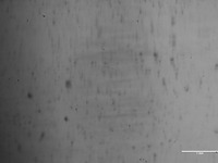 横浜ゴム、高い氷上性能を持つ冬用タイヤを実現する技術を開発 画像