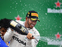 【F1 ブラジルGP】2連勝目前にフェルスタッペンが接触、ハミルトンが今季10勝目 画像