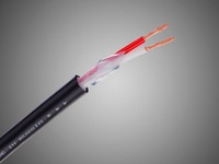 スピーカーケーブルのトレンド分析　lll［カーオーディオ 製品選び］ 画像