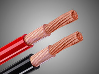 パワーケーブルのトレンド分析［カーオーディオ 製品選び］ 画像