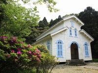 世界遺産の島を超小型モビリティで走る...SNS投稿でレンタル料500円 画像