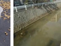 山陽新幹線トンネル補修現場から白く濁った水…魚が浮く現象を確認 画像
