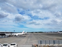 ZMP×丸紅、成田空港制限区域内で自動走行車両による実証実験　1月28-30日 画像