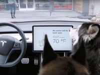 テスラ モデル3に「愛犬モード」採用［動画］ 画像