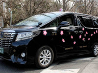 日本交通×第一園芸コラボ、「お花見タクシー」を運行 3月20日から 画像