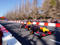 【F1】レッドブル・レーシングのフェルスタッペンとガスリー、外苑いちょう並木で激走を披露 画像