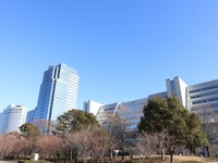 業績不振の大塚家具、新取締役に元札幌トヨペット社長ら起用［新聞ウォッチ］ 画像