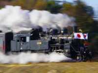 真岡鐵道で運行されているC11形蒸気機関車が売却へ…3月25日の入札で譲渡先を募る 画像