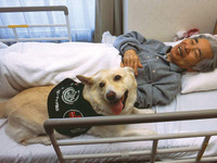 マツダレンタカー、セラピードッグの育成・派遣に協力 画像