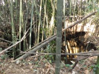 中央新幹線の建設現場で土砂崩落…岐阜県中津川市内の中央アルプストンネル　4月8日発生 画像