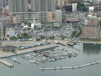 ヤンマー、滋賀県大津港マリーナの管理業務を開始　エクスプレスクルーザーの就航も 画像