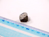 【プレゼント】スバルの石---西新宿スバルビルの解体現場から拾ってきた 画像