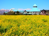 「道の駅」の新しいあり方を検討、防災機能強化などを検討 画像