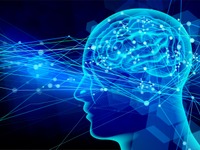 モビリティやロボットに脳科学を応用　ホンダと脳情報通信融合研究センターが共同研究を開始 画像