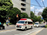 交通事故で重度後遺障害を負った被害者の支援を拡充　国交省 画像