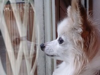 VWサマーフォトコンテスト開催、優秀作品は2020年公式カレンダーに採用 画像