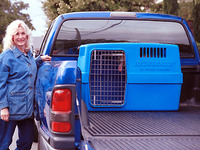 【SEMA10ベスト】ピックアップトラックに犬小屋 画像