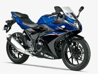 スズキ GSX250R、2020年モデル発売へ　カラーリング変更 画像