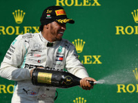 【F1 ハンガリーGP】ハミルトンが2ストップ作戦を決めて逆転勝利、今季8勝目 画像