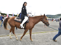 【SUPER GT 第6戦】RQも乗馬体験するほど、ローカルな雰囲気を見せるオートポリス 画像