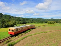 9月11日も6線区で運行見合せが続く房総のJR線…小湊鐵道ではバス代行も　台風15号 画像