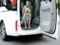 【青山尚暉のわんダフルカーライフ】フロアの低さと犬の乗降性の良さで選ぶ、6ジャンルのドッグフレンドリーカー 画像