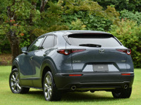 広島4年ぶりBクラス、マツダ丸本社長「新井選手引退は痛手」［新聞ウオッチ］ 画像